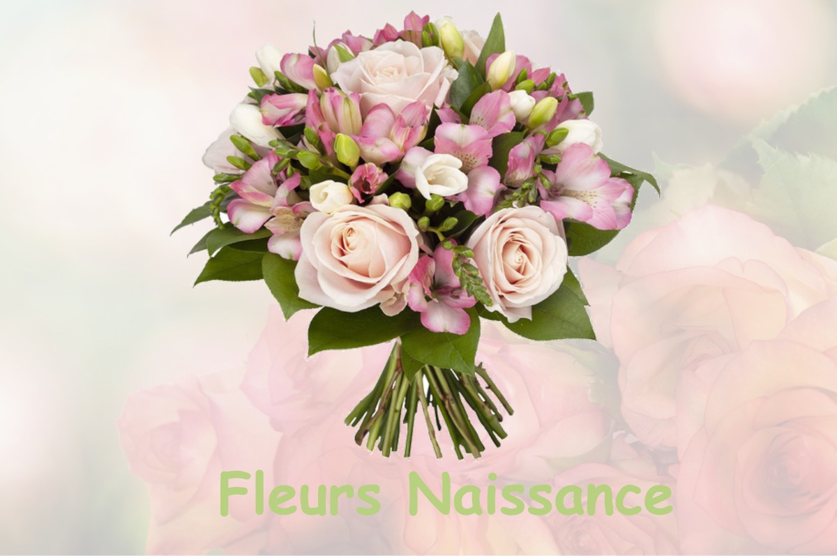 fleurs naissance TORTEVAL-QUESNAY